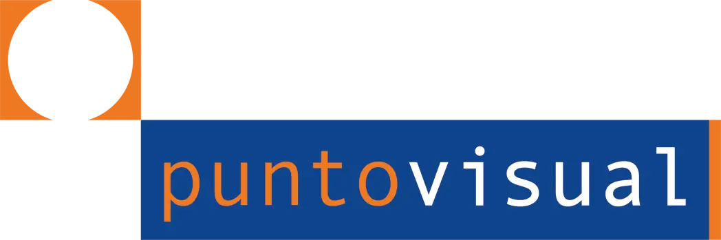 Punto Visual