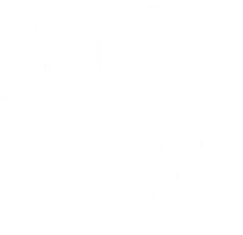 Van Wagner Aerial Media, LLC work