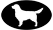Riley Media Group logo